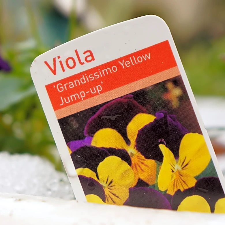 You Can Do Better Than Plastic Plant Tags: Here's The Eco-Friendly Alternative To Use Instead