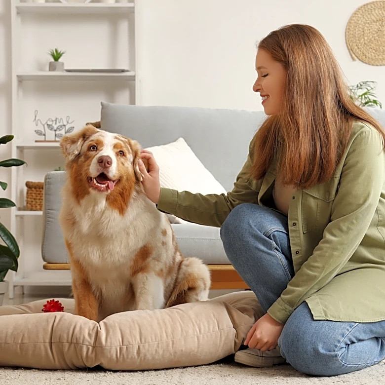 Why Does Homeowners Insurance Ask About Dogs?