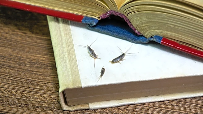 How To Repel Silverfish With A Fresh-Smelling Essential Oil They Can't Stand