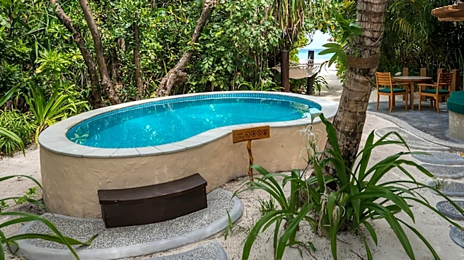 Man Transforms Bottles And Concrete Into A Cheaper Plunge Pool: 'Breeding Ground For Mold'