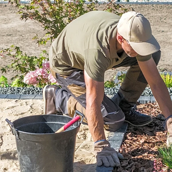 Ditch Landscape Fabric: Use These Shells As A More Natural Alternative