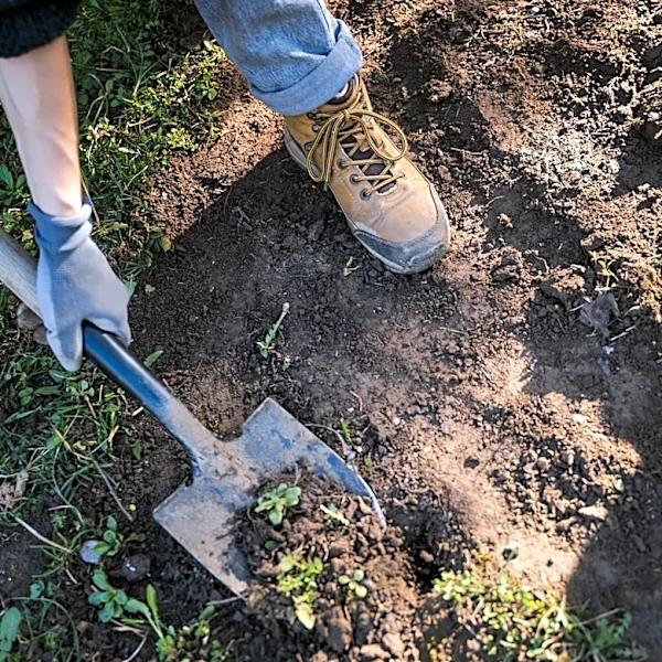 With Home Depot's Electric Garden Tool, You Can Skip Breaking Up Soil By Hand