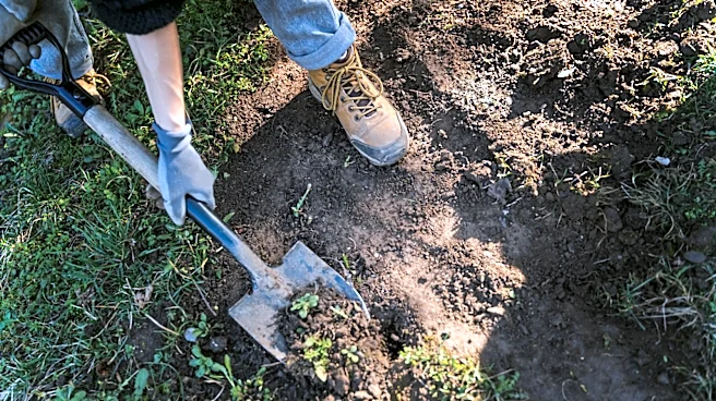 With Home Depot's Electric Garden Tool, You Can Skip Breaking Up Soil By Hand