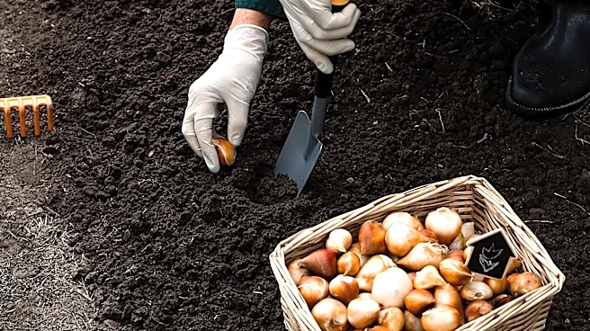 Our Pro Gardener's Picks For The Best Spring Bulbs To Plant This Fall