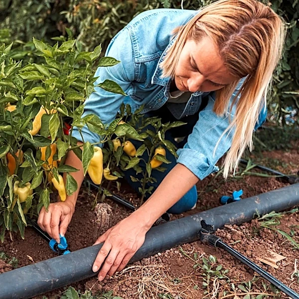 Creating An Irrigation System For Your Home And Garden? We Asked Specialists For Advice