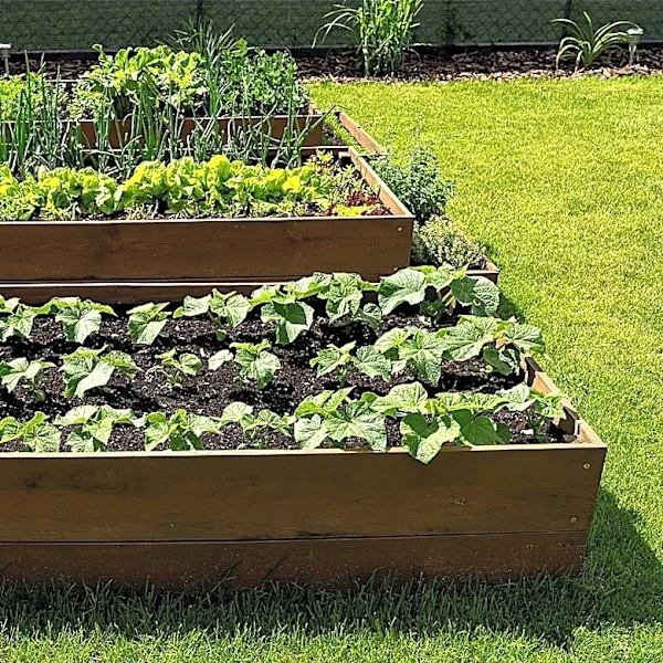 You Don't Need Wood: The Natural, Durable Material To Use For Raised Garden Beds