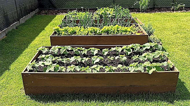 You Don't Need Wood: The Natural, Durable Material To Use For Raised Garden Beds
