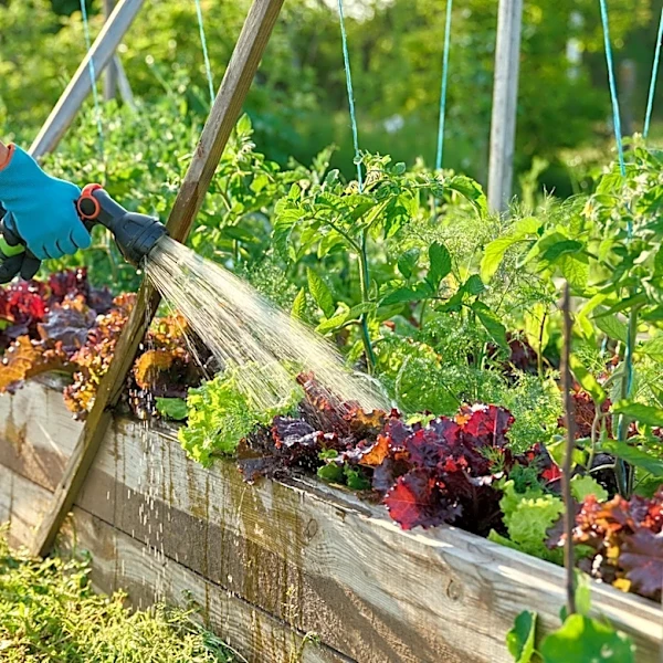 15 Of The Biggest Wastes Of Money You Can Spend On Garden Beds