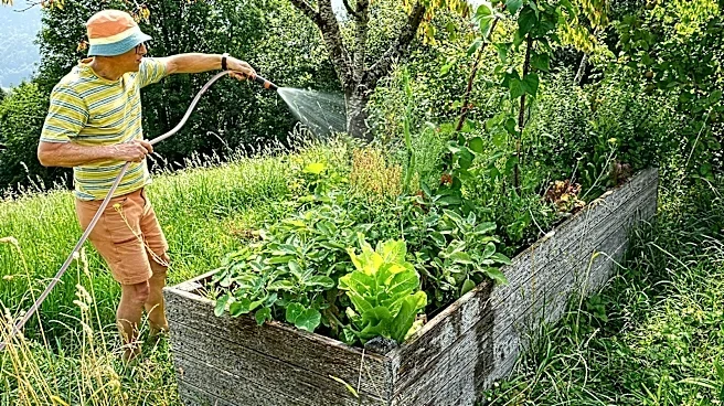 10 Vegetables You Should Avoid Planting In Raised Garden Beds