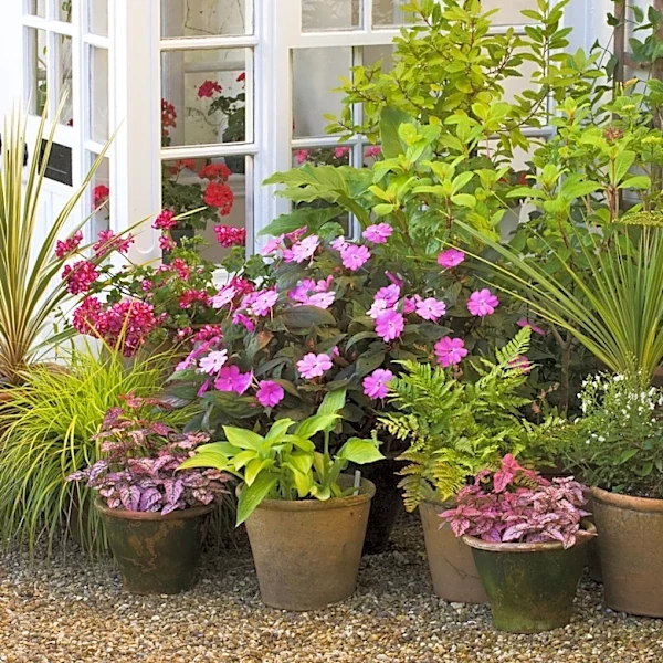 The Watering Routine Tweak To Make For Container Plants Before Summer Is Over