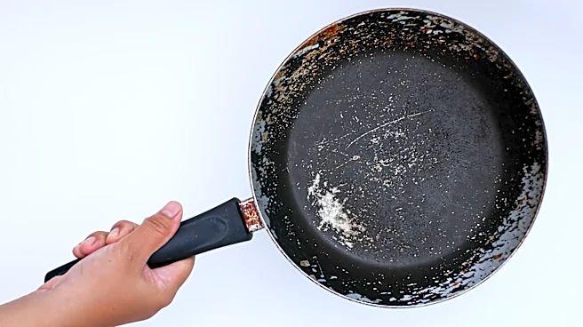 Turn Old Frying Pans Into Upcycled Garden Staples With These DIYs