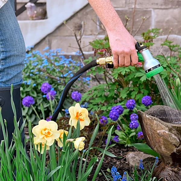 12 Critical Bird Bath Cleaning Dos And Don'ts