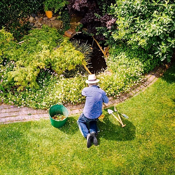 My 'Dream Yard' Has Become A Living Nightmare: Don't Make The Same Mistake