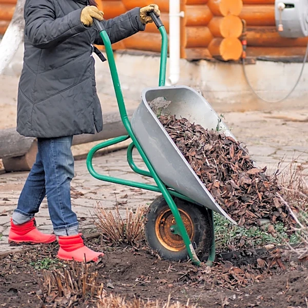What To Do If You Spot Termites Living In Your Mulch Pile