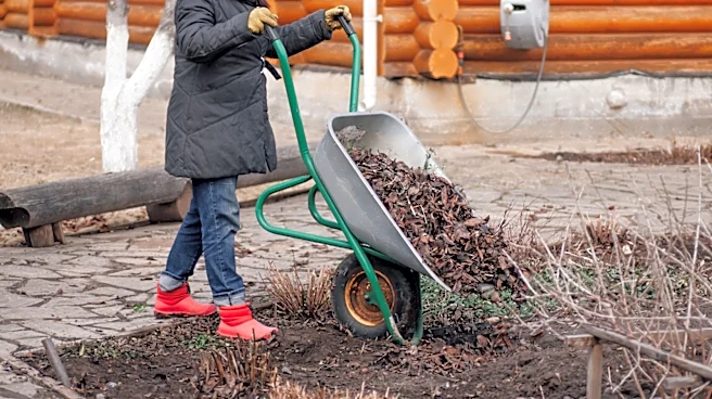 What To Do If You Spot Termites Living In Your Mulch Pile
