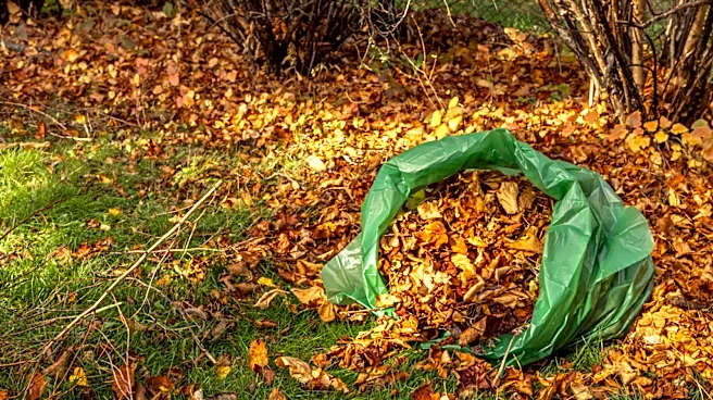 Ryobi's Limited Edition Blower Tool Is A Lightweight Solution For Clearing Yard Waste