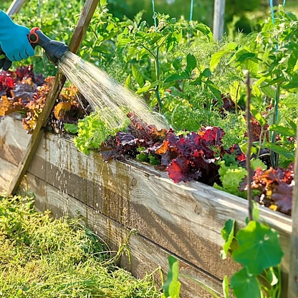 With Home Depot's Highly-Rated Garden Kit, You Can Skip DIYing Raised Beds