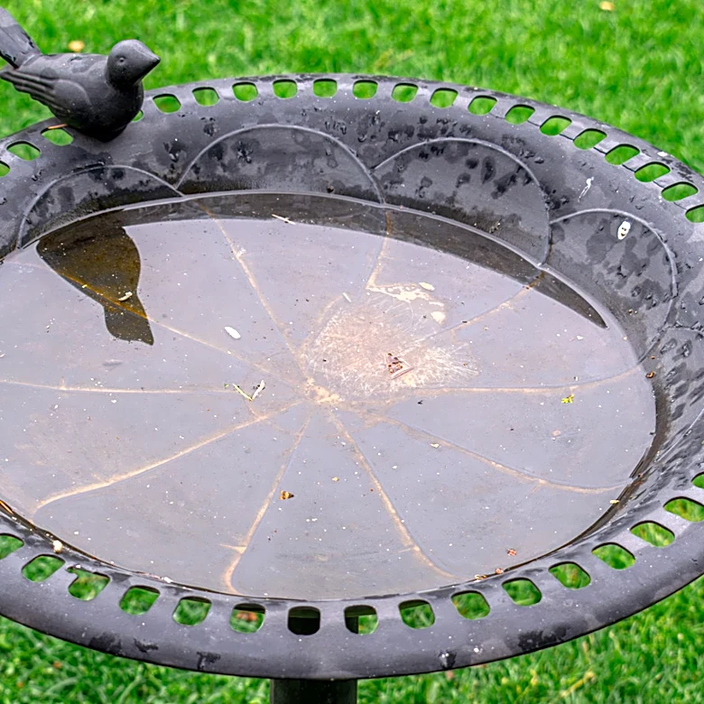 14 Top-Rated Lowe's Bird Baths You'll Want In Your Yard