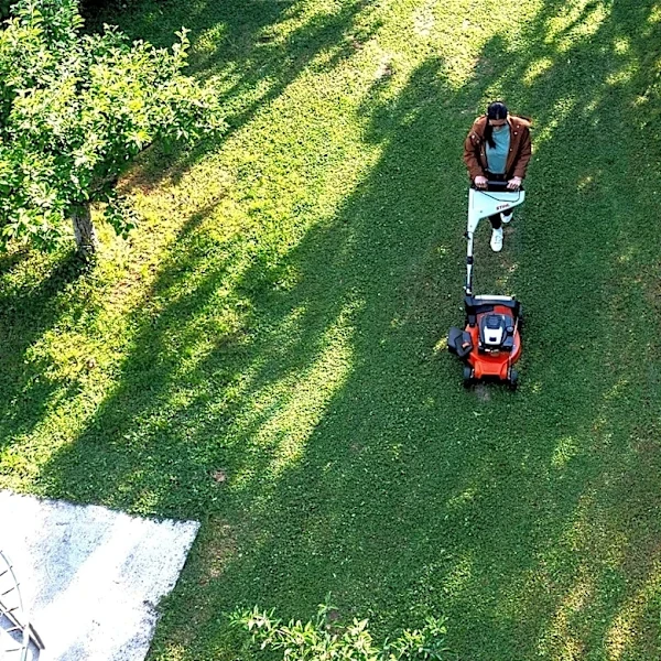 Does Zoysia Grass Grow In The Shade?