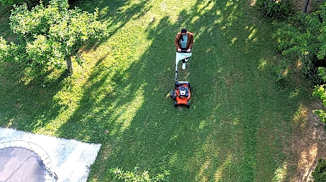 Does Zoysia Grass Grow In The Shade?