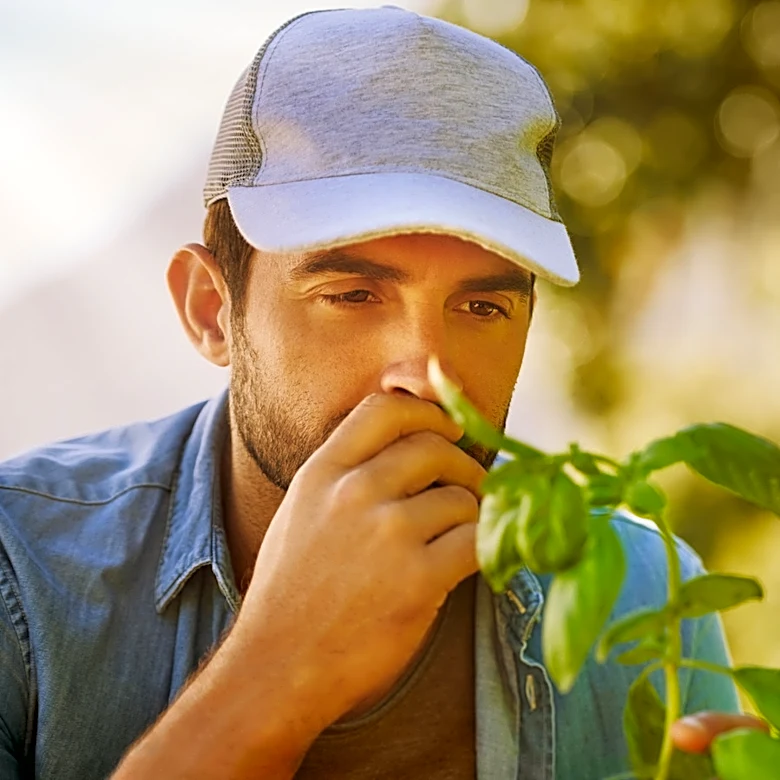 The Horribly Fragrant Plant You'll Regret Planting In Your Yard