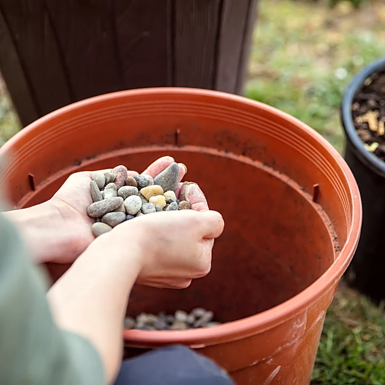 Easily Remove Stray Gravel From Your Pots And Garden Beds With An Affordable Amazon Solution