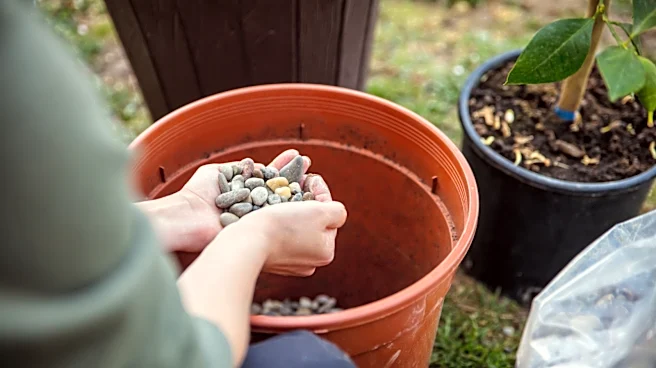 Easily Remove Stray Gravel From Your Pots And Garden Beds With An Affordable Amazon Solution