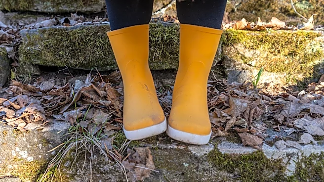 Keep Worn Out Boots Out Of The Trash With An Impressive DIY Birds Will Love
