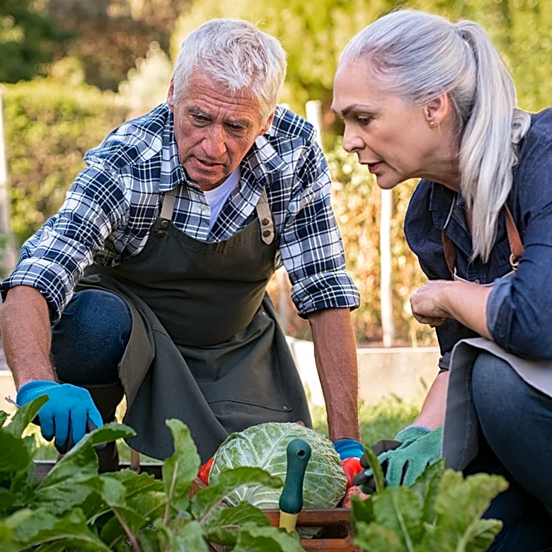 Efficiently Prepare Your Garden Beds With A Simple Drill Attachment