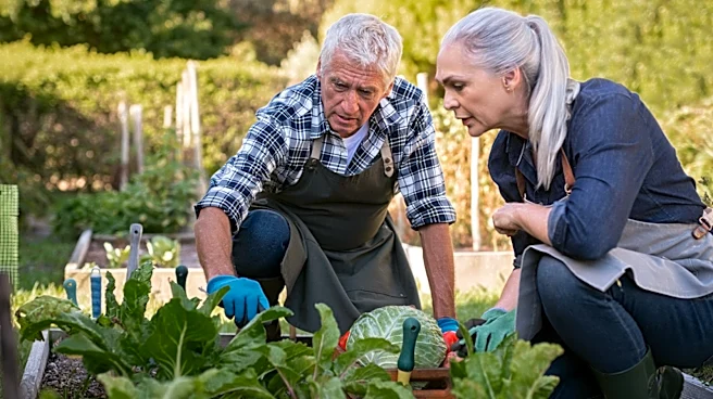 Efficiently Prepare Your Garden Beds With A Simple Drill Attachment