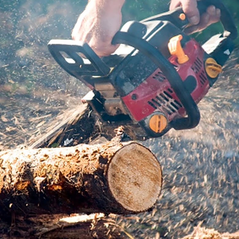 Sharpen Your Chainsaw Blade With An Amazon Find That Gets It Right Every Time