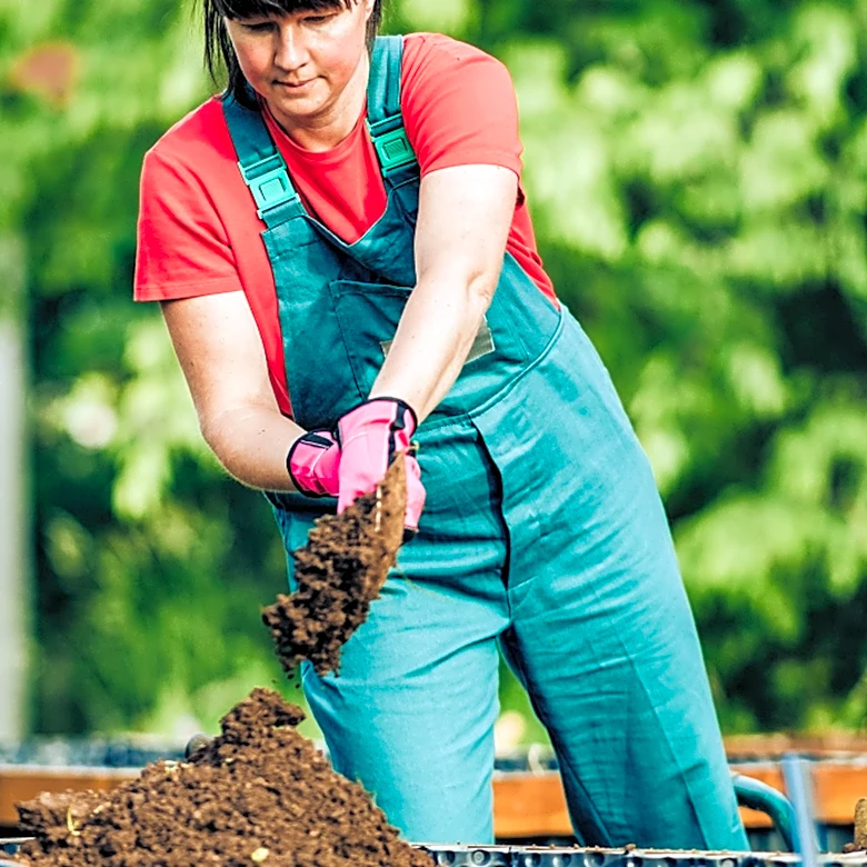 Peat Moss And Coconut Coir Have Environmental Costs: Try This Eco-Friendly Alternative Instead