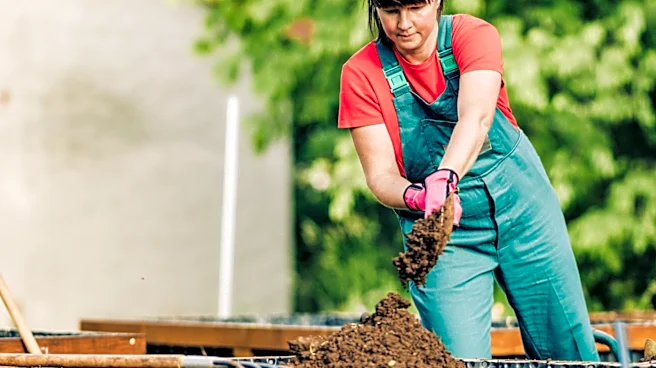 Peat Moss And Coconut Coir Have Environmental Costs: Try This Eco-Friendly Alternative Instead