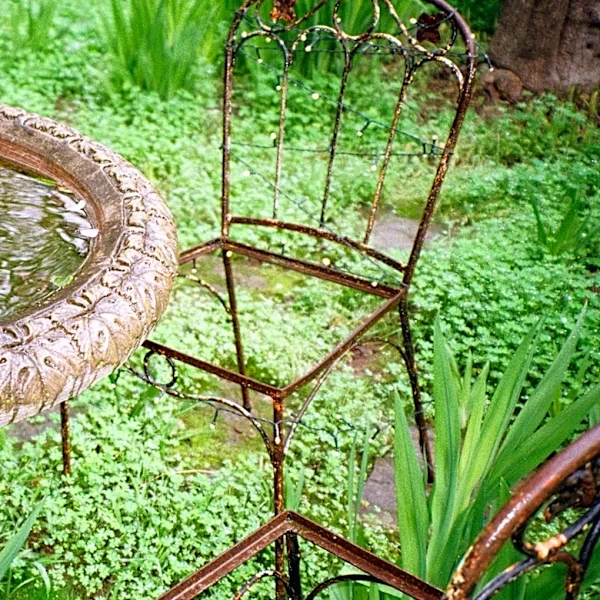 Use Old Empty Litter Containers As A Creative Way To Add Mosquito Protection To Bird Baths