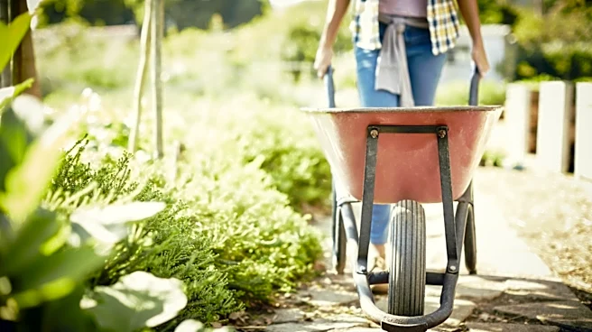 Say Goodbye To Gravel: The Durable Alternative That Gives Paths And Borders A Rustic Touch