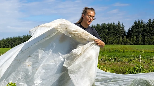 When Preparing Garden Beds, Use This Trick To Boost Solarization (It's Not The Plastic Type)