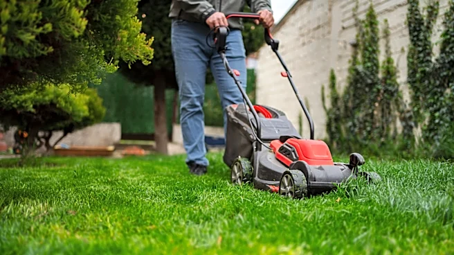 The Reason Your Grass Looks Damaged Could Be A Sign Of Dull Lawn Mower Blades