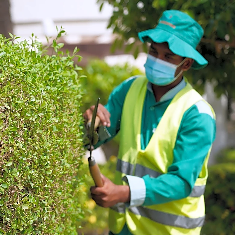 The Amazon Privacy Screen That'll Give You The Look Of Hedges Without The Hassle