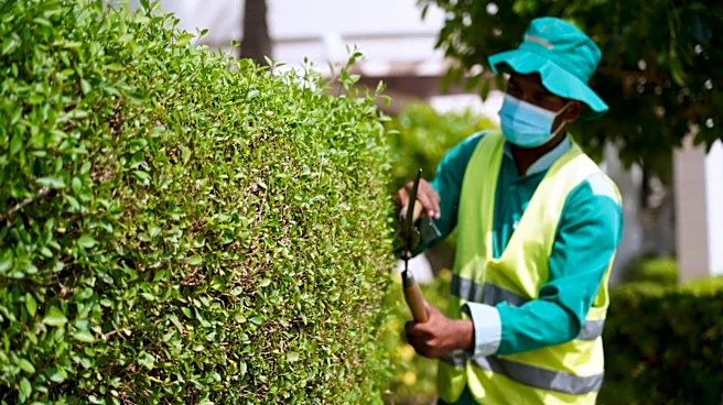 The Amazon Privacy Screen That'll Give You The Look Of Hedges Without The Hassle