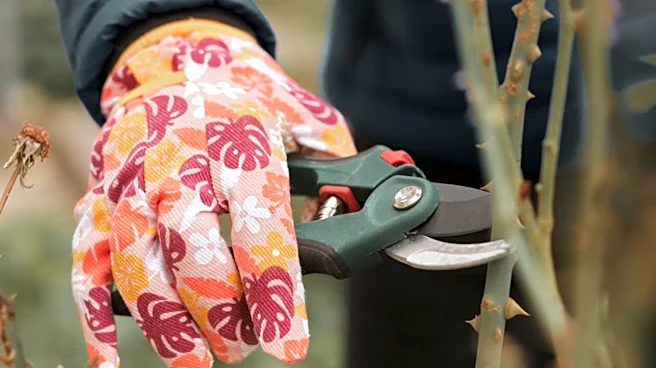 Easily Sharpen Your Garden Shears With A Compact Find From Amazon