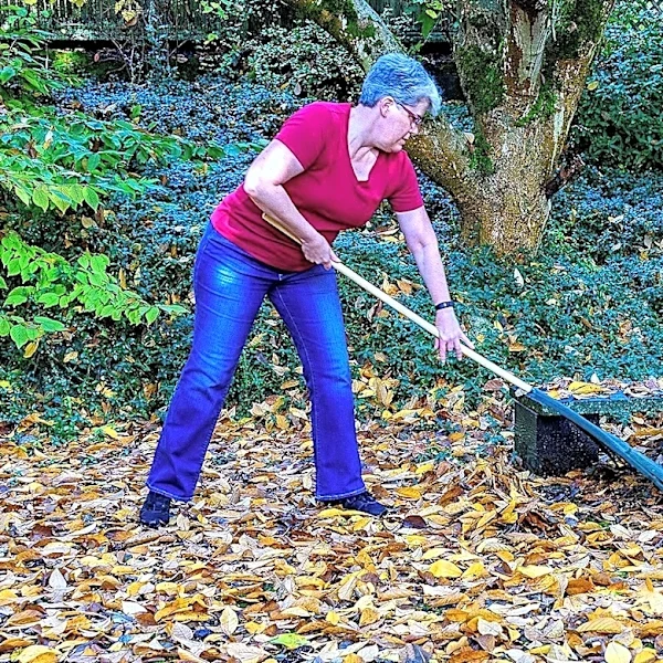 A Regular Rake Won't Cut It: The Classic Garden Tool Made For Wet Leaves