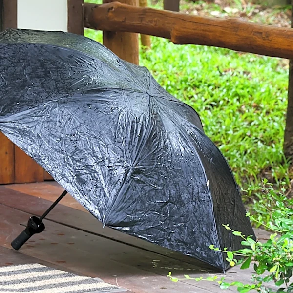 Turn A Plastic Bottle Into A Creative Way To Dry And Store Umbrellas