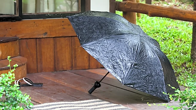 Turn A Plastic Bottle Into A Creative Way To Dry And Store Umbrellas