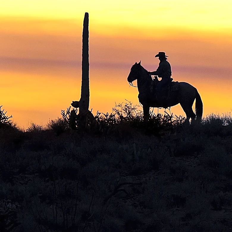 This Fuzzy Weed Earned A Colorful Nickname From Cowboys