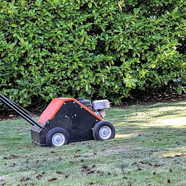 Say Goodbye To Traditional Lawn Aerators With A Hands-Free Solution From Amazon