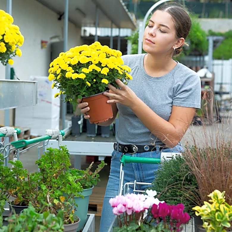 Forget Mums: This Succulent Is The Perfect Alternative For Fall Planters