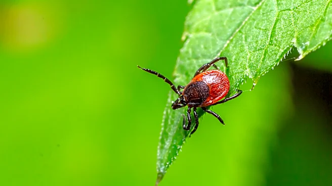 Better Than Chemicals: Drive Ticks Away With A Natural Solution They Can't Stand