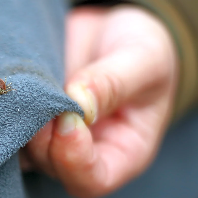 Say Goodbye To Ticks — There's A Liquid Solution That Keeps Them At Bay