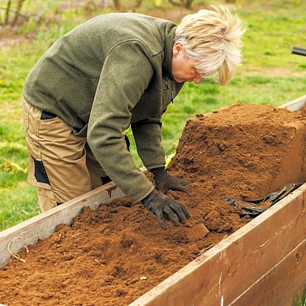 What To Do If You Spot Ants In Your Raised Garden Bed