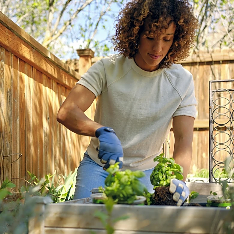 The Herbal Ground Cover Gardeners Rarely Grow Anymore